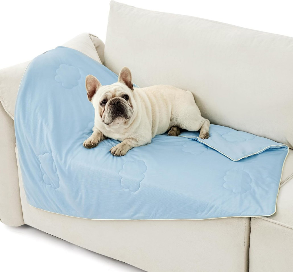 ice silk dog blanket