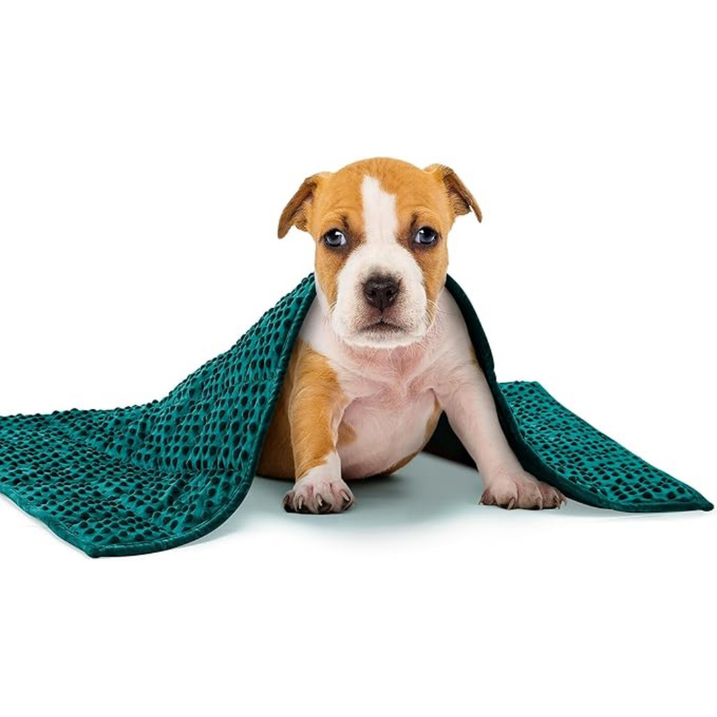 calming pet blanket