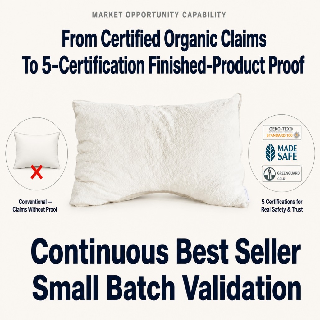 Organic Pillow